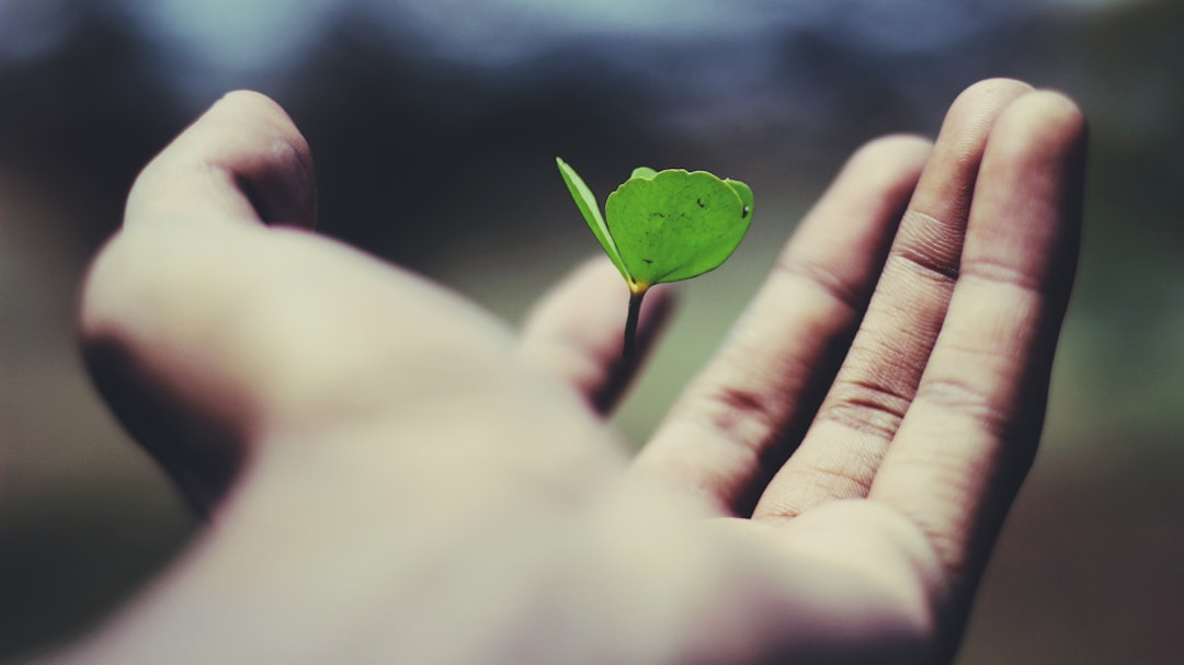 personal growth